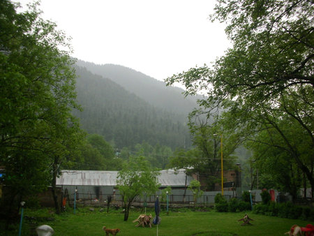 a wayside scenery during journeyの写真素材