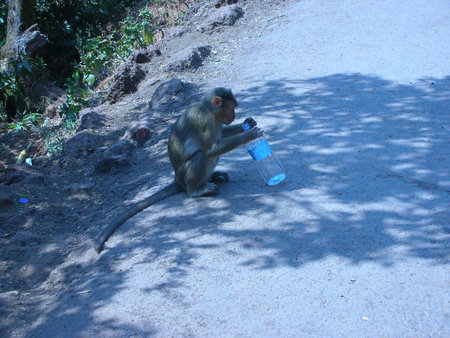 I am thirsty due to heatの写真素材