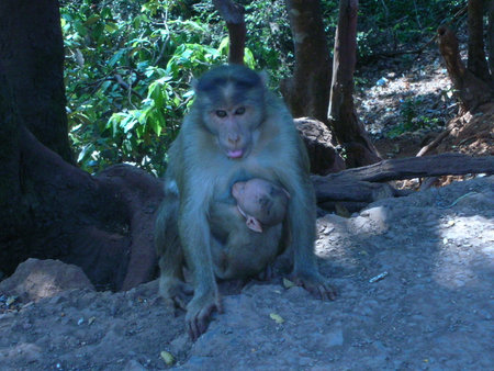 mother and childの写真素材