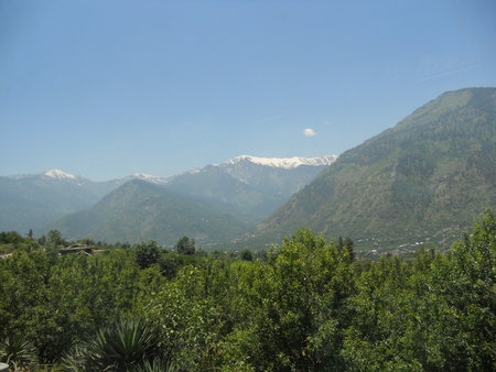 a  green forest near the mountain rangeの写真素材