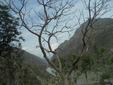a wayside scenery during vacationの写真素材