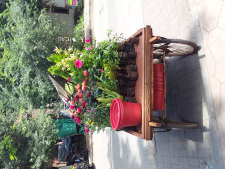 a mobile nursery gardenの写真素材