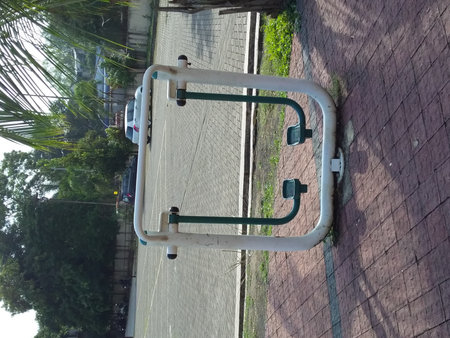 playing in the parkの写真素材