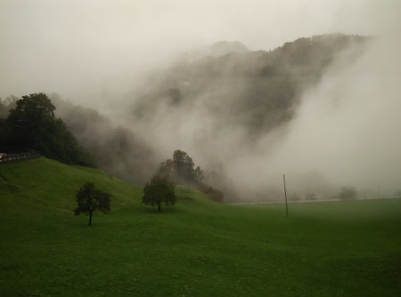 a green meadow during rainy seasonの写真素材