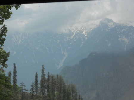 a green forest near the mountain rangeの写真素材