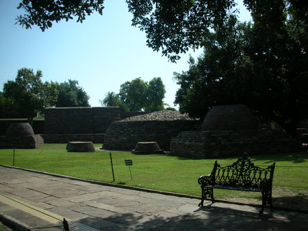 visiting an outdoor parkの写真素材