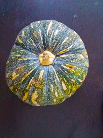 a green and raw pumpkinの写真素材