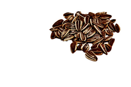 sunflower seed