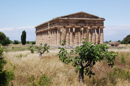Ruins of ancient greek temple in Paestum, Italyの写真素材