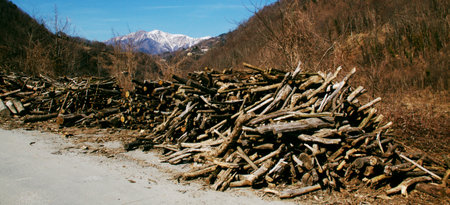 wood stack with mountains in Abetone, Italyの写真素材
