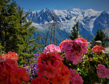 Flowers with mountain in the backgroundの写真素材