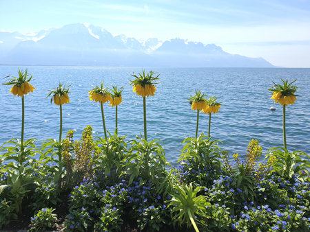 Flowers with lake in backgroundの写真素材