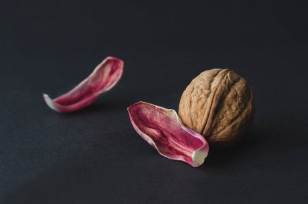 concept photographyの写真素材