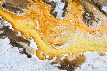 thermal spring in Yellowstoneの写真素材