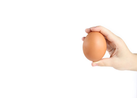 Baby hand with hen egg isolatedの写真素材