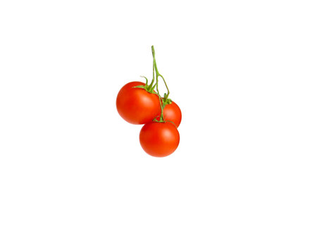 branch of tomatoes. Top viewの写真素材