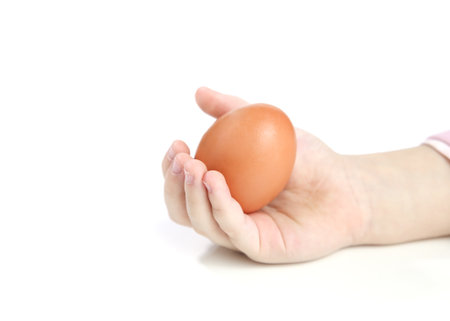 Baby hand with hen egg isolatedの写真素材