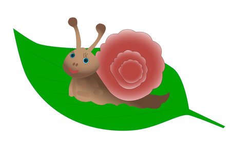 Cute snail on a green leaf on a white backgroundのイラスト素材
