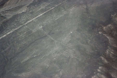 Aerial picture of the Bird figure at Nazca lines seen from the plane, Nazca lines, Peru