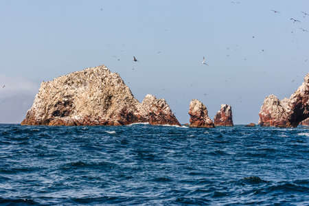 Islas Ballestas as viewed from the boat, Paracas Peninsula, Peruの写真素材