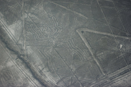 Aerial picture of the Spider figure at Nazca lines seen from the plane, Nazca lines, Peru