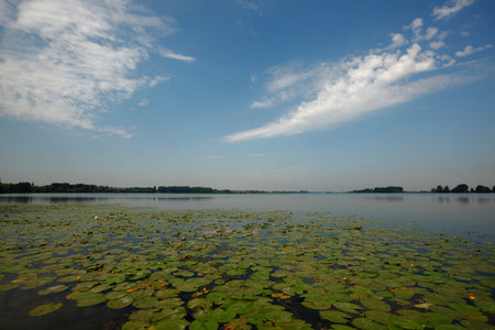 Superior lake area, Mantua Italyの写真素材
