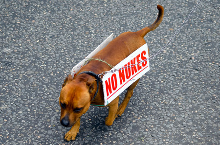 Dog protesting, no nukesの写真素材