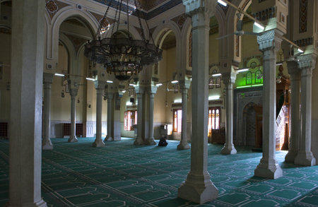 Aswan, Egypt - January 15, 2010: The mosque inside Tabianのeditorial素材