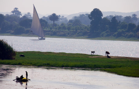 Egypt, fishermen on the Nile riverの写真素材