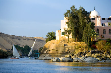 Egypt, Aswan, feluccas sailing on the Nile river in the town outskirtsの写真素材