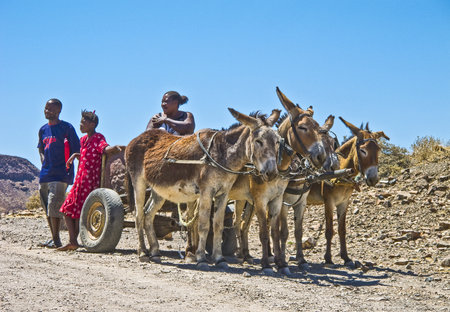 Damarland, Namibia - December 7, 2009: A local family traveling with a carriageのeditorial素材