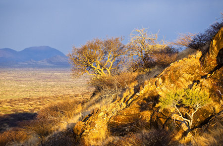 Namibia,sunset landscape in the Omaruru reserveの写真素材