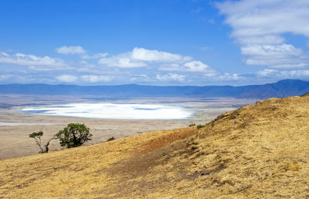 Tanzania, Ngorongoro National Park,  the salt lake in the craterの写真素材