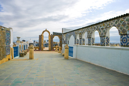 Tunisia, Tunis, view of traditional architectures from a Medina terraceのeditorial素材