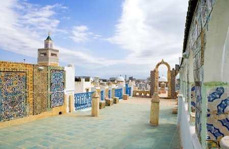 Tunisia, Tunis, view of traditional architectures from a Medina terraceのeditorial素材