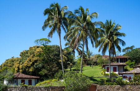 Brazil, Angra Dos Reis bay, holiday homes in Ponta de Pietadeのeditorial素材