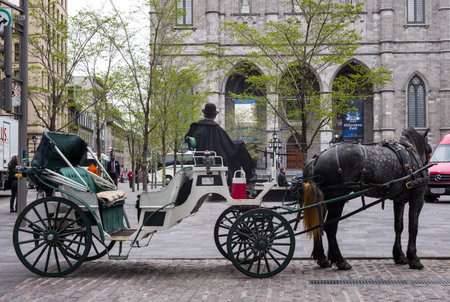 Montreal, Canada - May 13, 2014: Quebec, a carriage with coachman in Cathedral Squareのeditorial素材
