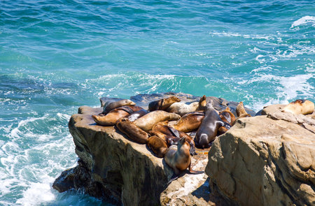 U.S.A., California, San Diego, the sea frontの写真素材