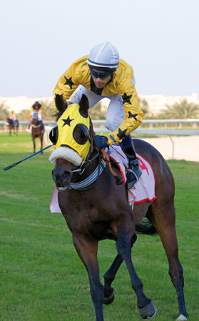 Manama, Bahrain - January 12, 2007:  A race in  the Equestrian and Horse Racing Club.
