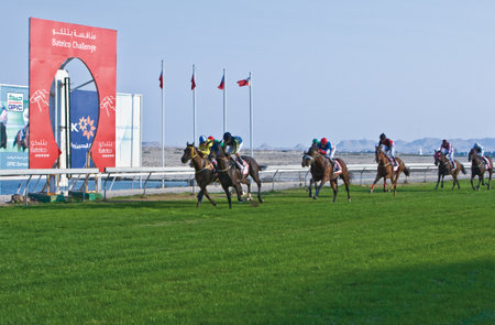Manama, Bahrain - January 12, 2007:  A race in  the Equestrian and Horse Racing Club.のeditorial素材