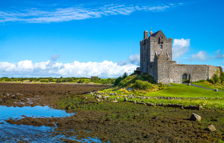 Calway, Ireland - August 4, 2013:  The Dunguaire castleのeditorial素材