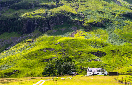 Great Britain, Scotland, Highlands, a small factory in the Glen Coe area.のeditorial素材