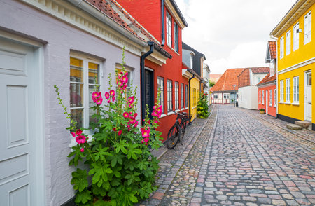 Odense, Denmark - July 21, 2015: Traditional houses and flowers in the old townのeditorial素材