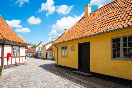 Odense, Denmark - July 21, 2015: Traditional houses in the old town with the Hans Christian Andersen home in the foreground rightのeditorial素材