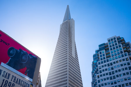 San Francisco, USA - September 23, 2015: The Transamerica Pyramid skyscraper with a billboard in the foregroundのeditorial素材