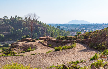 Ethiopia, Adigrat, farmer houses in the outskirts of the villageのeditorial素材