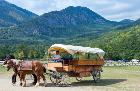 Camosciara, Italy - September 7, 2006: A tourist carriage in Abruzzi's National Parkのeditorial素材