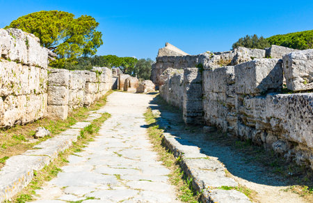 Italy,Cilento, archaeological site of Paestum,の写真素材