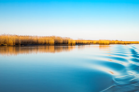 Italy, Po delta park, the Goro lagoon