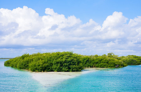 Quintana Roo, Mexico, the Sian Ka'an lagoon reserveの写真素材